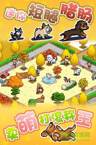 发现狗狗乐园游戏