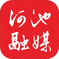 头条河池 v4.1.5 安卓版