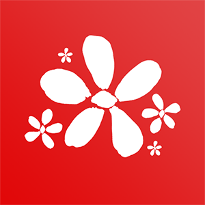 路灯花幼师办公教育平台 v1.7.3 安卓版