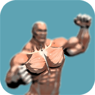 跟我练胸肌手机版 v2.3.0 安卓版