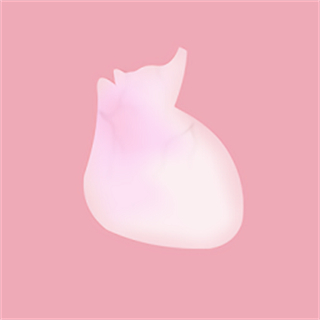 life生命体征模拟器软件 v1.0 安卓中文版