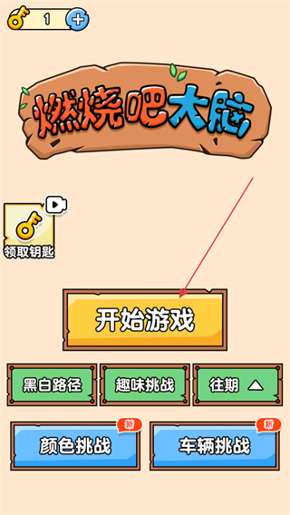 燃烧吧大脑小游戏 v1.0.0.1