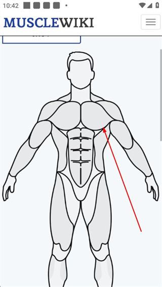 MuscleWiki v1.0 安卓版