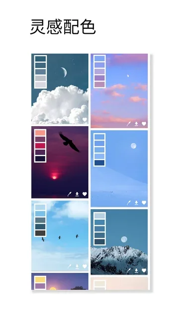 观色配色 截图 4