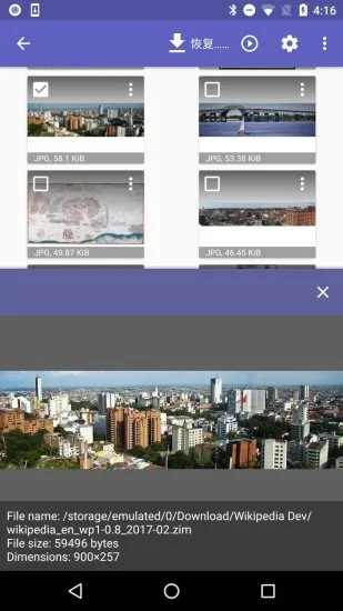 diskdigger安卓中文版 截图 4