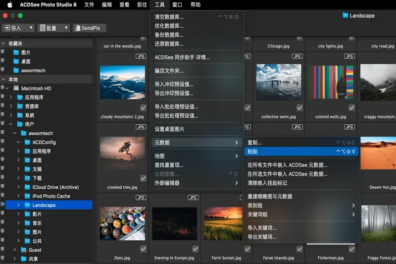 ACDSee Photo Studio Mac版 截图 6