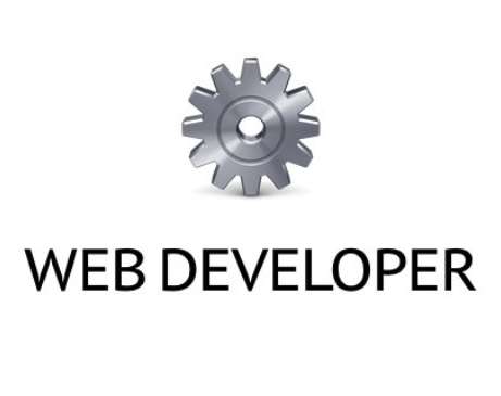 Web Developer(Chrome Web开发工具插件)V0.5官方版