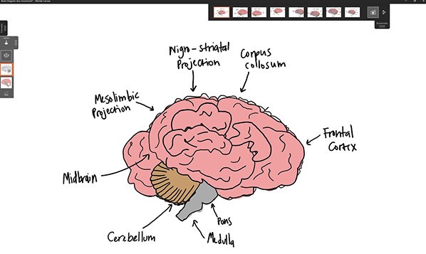 Mental Canvas(3D绘画软件)正式版