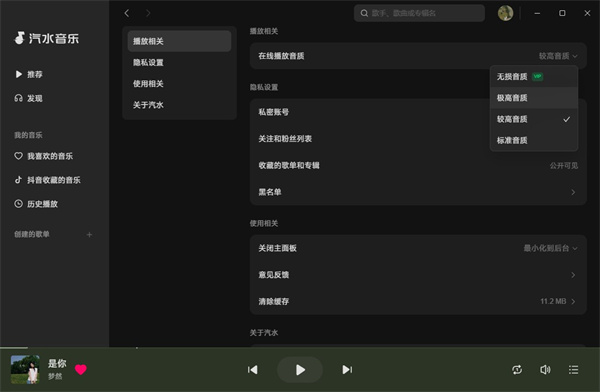 汽水音乐优化版