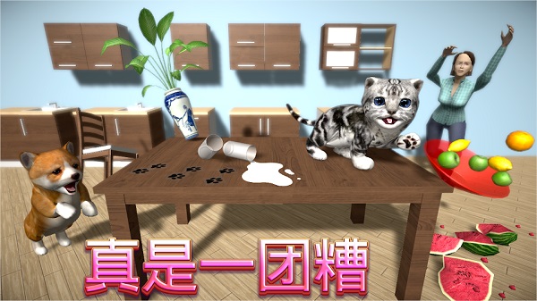 猫咪模拟器(Cat Sim)