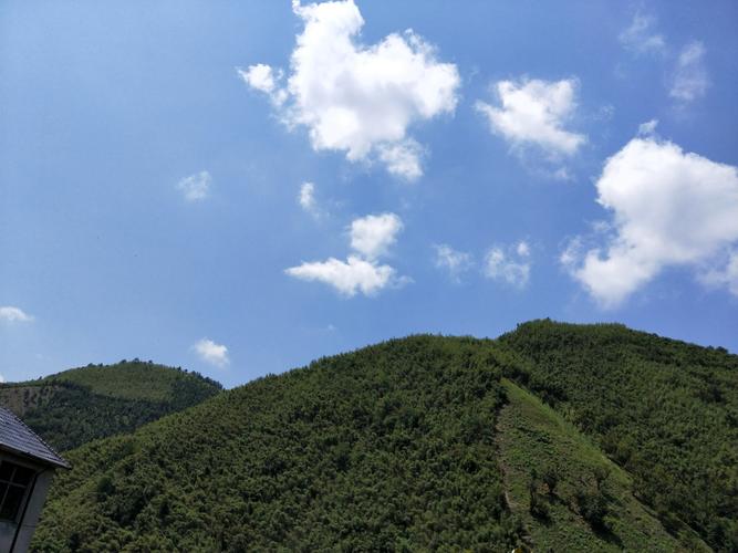 空气是新鲜还是清新 早晨呼吸新鲜空气的好处