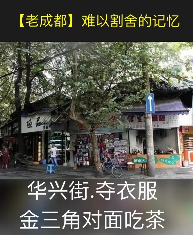 难以割舍的那份情愫600字 难以割舍的近义词