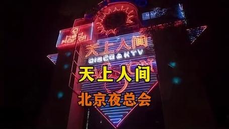 北京夜总