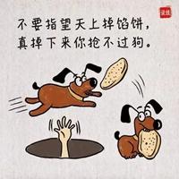 天上掉馅饼：幸运与努力的交织