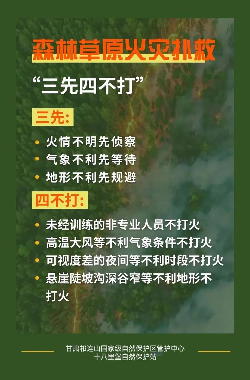 严防死守：打造安全壁垒，确保防线无忧