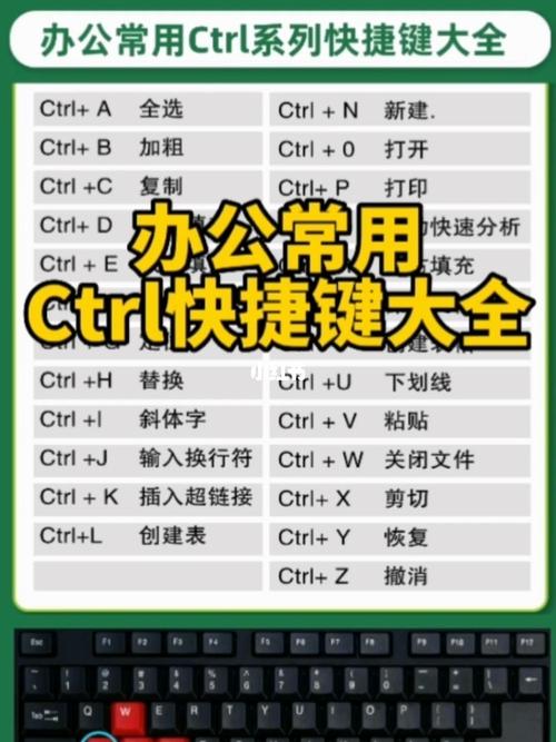“打印快捷键ctrl加什么”：探究打印操作的便捷方式
