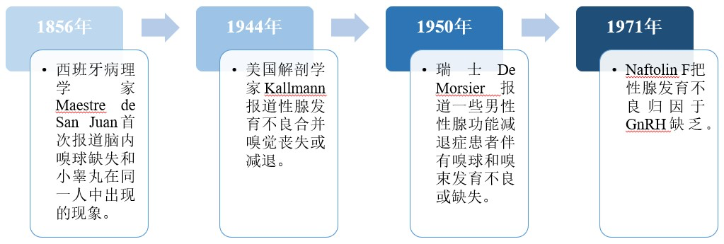 卡尔曼综合征：深入理解与应对