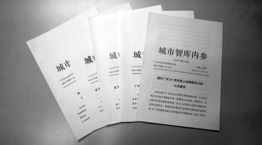 《内参选编：深度解读与实际应用》